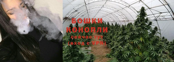 a pvp Бородино