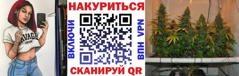 Бошки марихуана тримм  где продают наркотики  Дальнегорск 